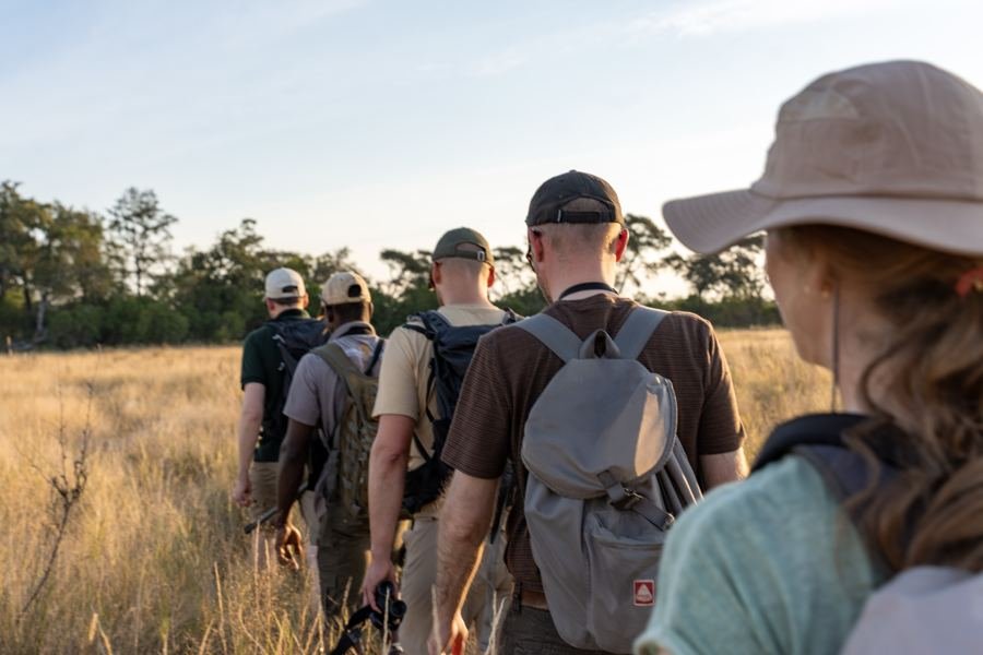 Walking single file through the grass at golden hour