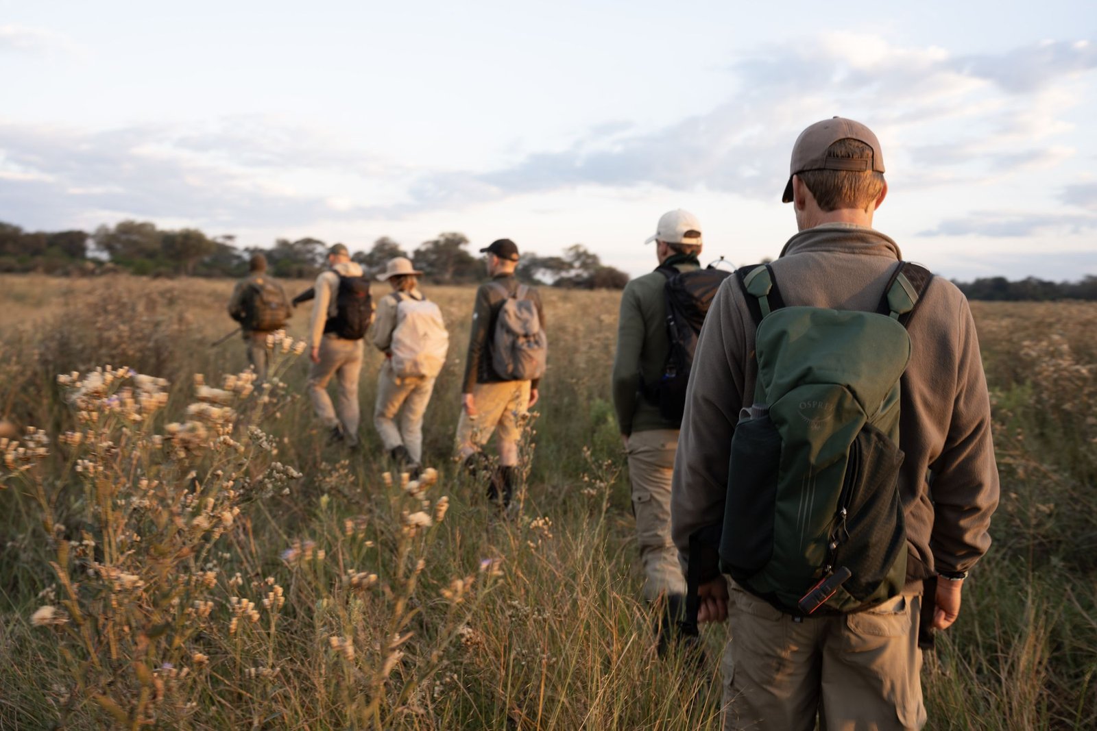 A small group walking single file through golden grass into the Okavango Delta at sunrise
