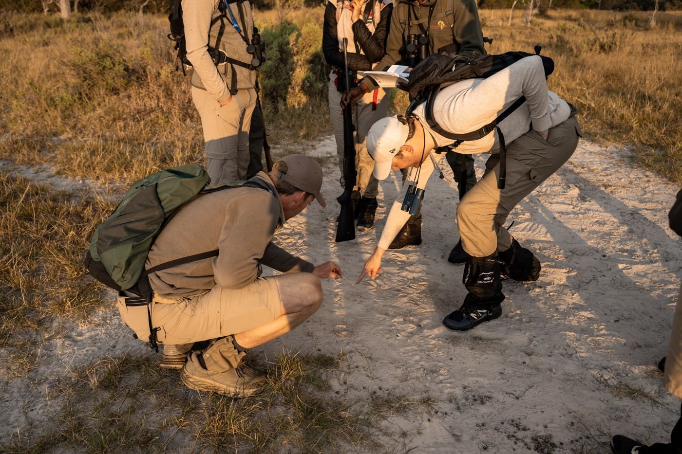 Participants crouching on a sandy path, reading animal tracks with their guide